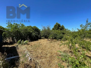 Terreno Agricola ou Rústico para Venda em Freixial e Juncal do Campo
