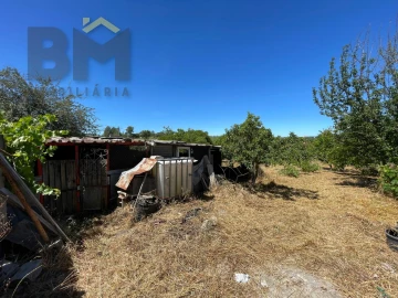 Terreno Agricola ou Rústico para Venda em Freixial e Juncal do Campo