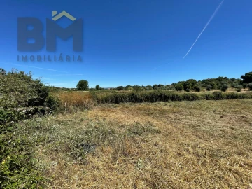 Terreno Agricola ou Rústico para Venda em Freixial e Juncal do Campo