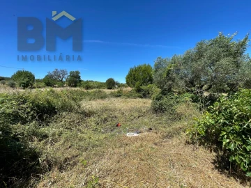 Terreno Agricola ou Rústico para Venda em Freixial e Juncal do Campo
