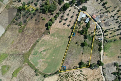 Terreno Agricola ou Rústico para Venda em Freixial e Juncal do Campo