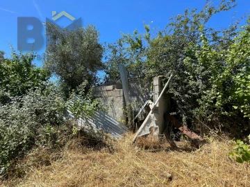 Terreno Agricola ou Rústico para Venda em Freixial e Juncal do Campo
