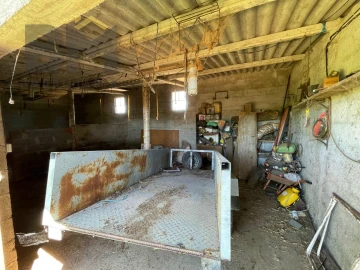 Terreno Agricola ou Rústico para Venda em Freixial e Juncal do Campo