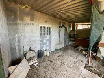 Terreno Agricola ou Rústico para Venda em Freixial e Juncal do Campo