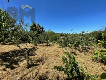 Terreno Agricola ou Rústico para Venda em Freixial e Juncal do Campo