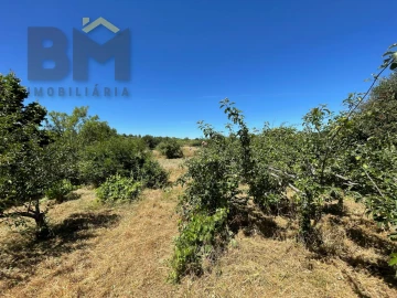 Terreno Agricola ou Rústico para Venda em Freixial e Juncal do Campo