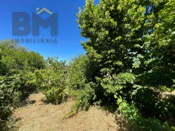 Terreno Agricola ou Rústico para Venda em Freixial e Juncal do Campo