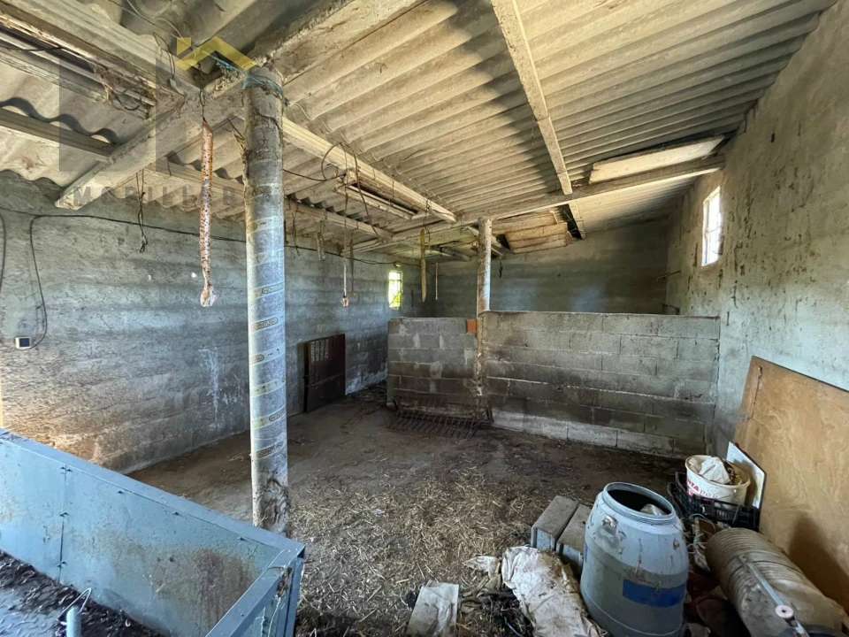 Terreno Agricola ou Rústico para Venda em Freixial e Juncal do Campo Foto 13