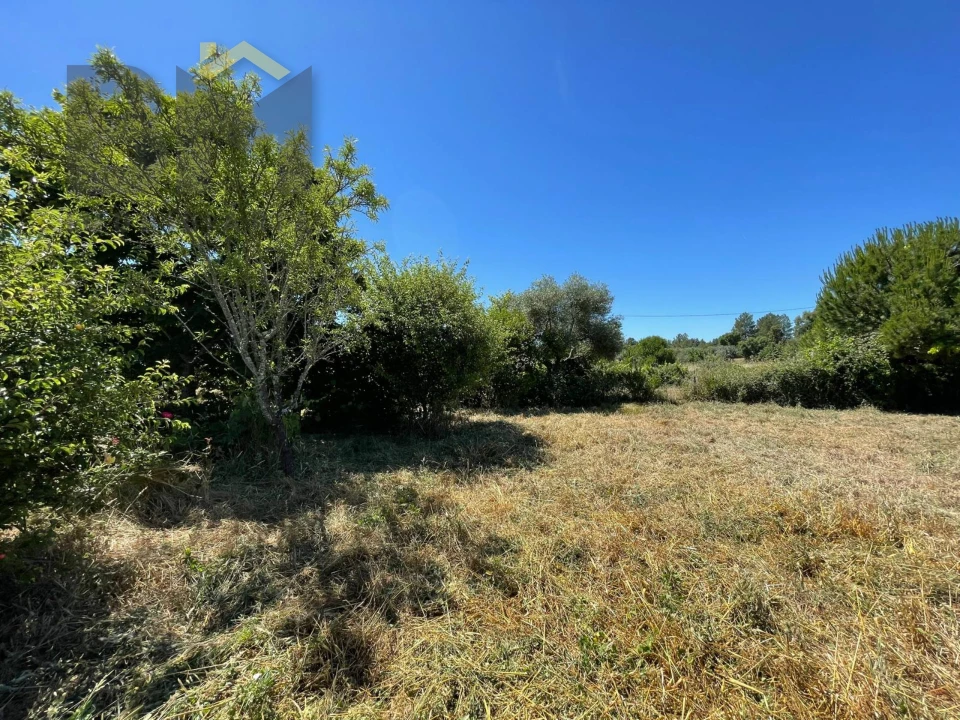Terreno Agricola ou Rústico para Venda em Freixial e Juncal do Campo Foto 38