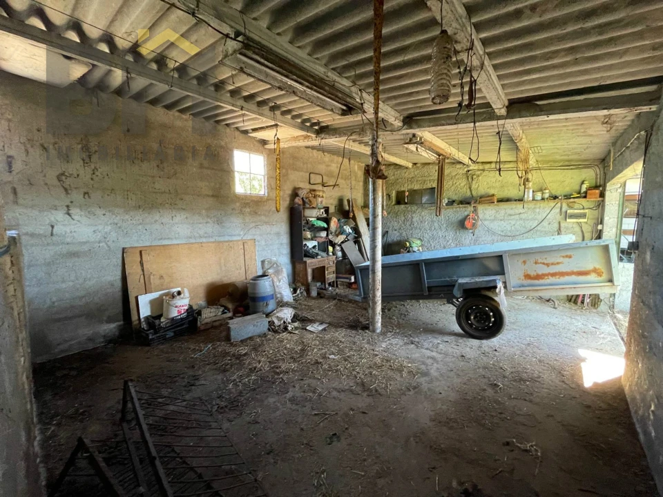 Terreno Agricola ou Rústico para Venda em Freixial e Juncal do Campo Foto 15