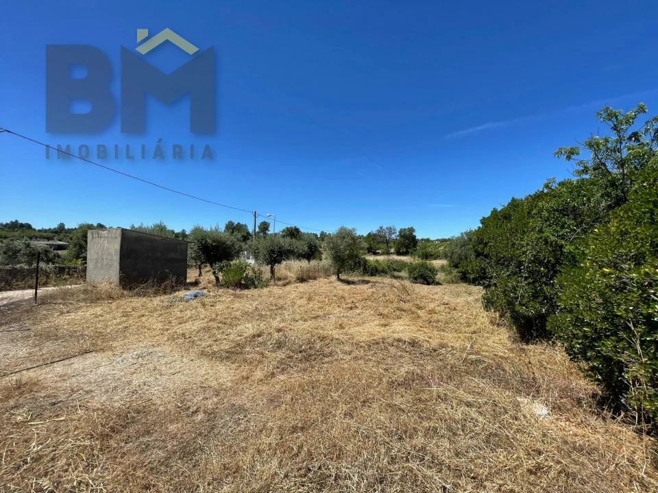 Terreno Agricola ou Rústico para Venda em Freixial e Juncal do Campo Foto 28
