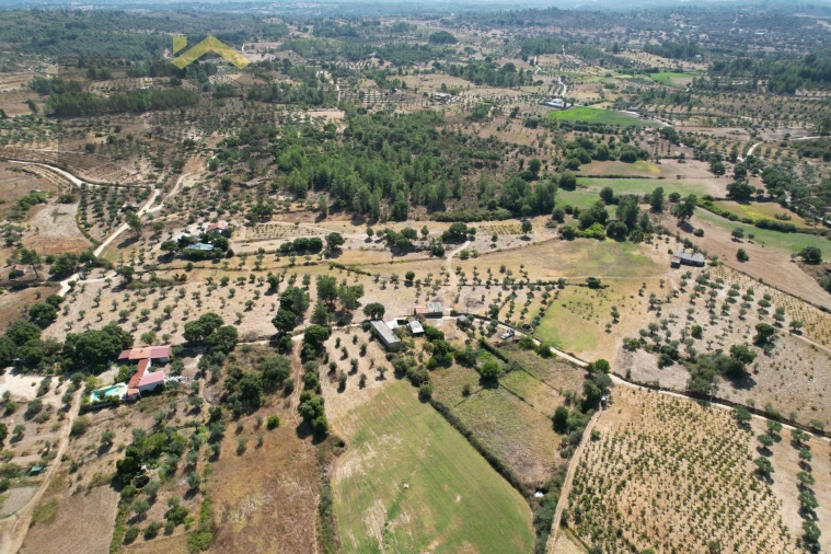Terreno Agricola ou Rústico para Venda em Freixial e Juncal do Campo Foto 40