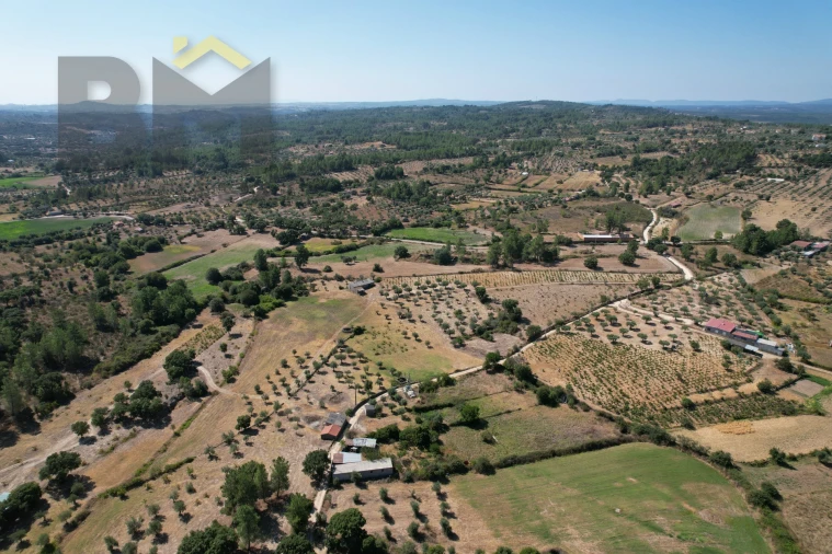 Terreno Agricola ou Rústico para Venda em Freixial e Juncal do Campo Foto 44
