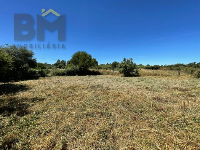 Terreno Agricola ou Rústico para Venda em Freixial e Juncal do Campo Foto 37