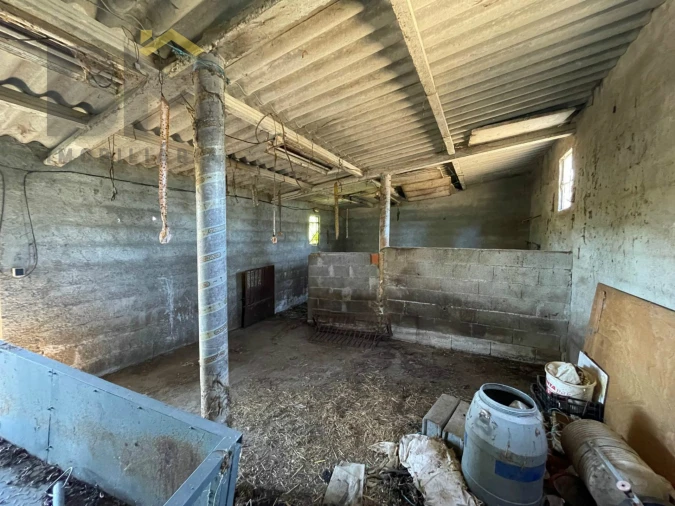 Terreno Agricola ou Rústico para Venda em Freixial e Juncal do Campo Foto 13