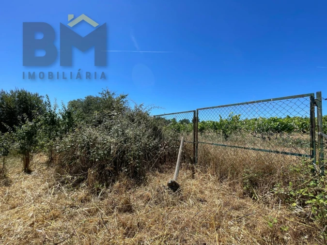 Terreno Agricola ou Rústico para Venda em Freixial e Juncal do Campo Foto 22