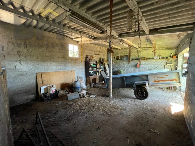Terreno Agricola ou Rústico para Venda em Freixial e Juncal do Campo Foto 15