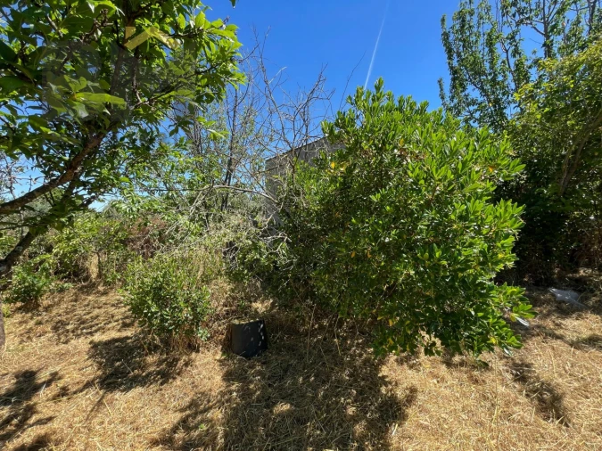 Terreno Agricola ou Rústico para Venda em Freixial e Juncal do Campo Foto 33
