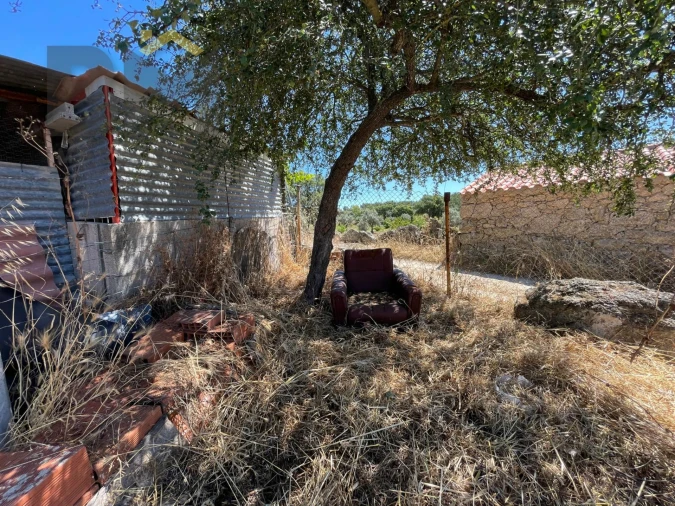 Terreno Agricola ou Rústico para Venda em Freixial e Juncal do Campo Foto 11