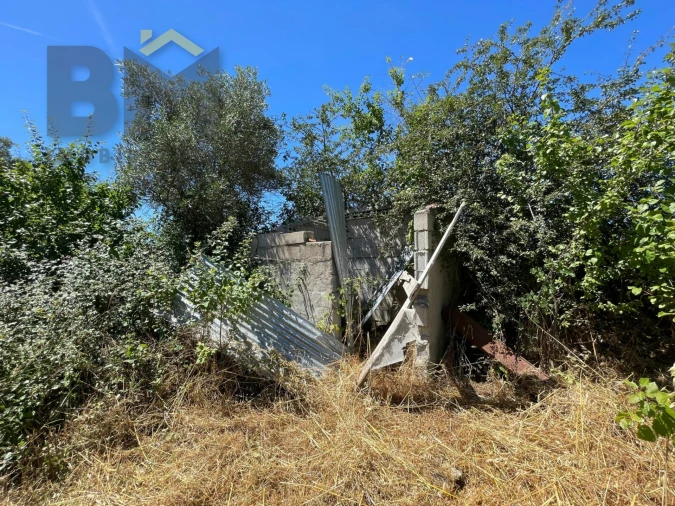 Terreno Agricola ou Rústico para Venda em Freixial e Juncal do Campo Foto 20
