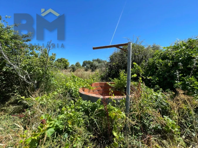 Terreno Agricola ou Rústico para Venda em Freixial e Juncal do Campo Foto 36