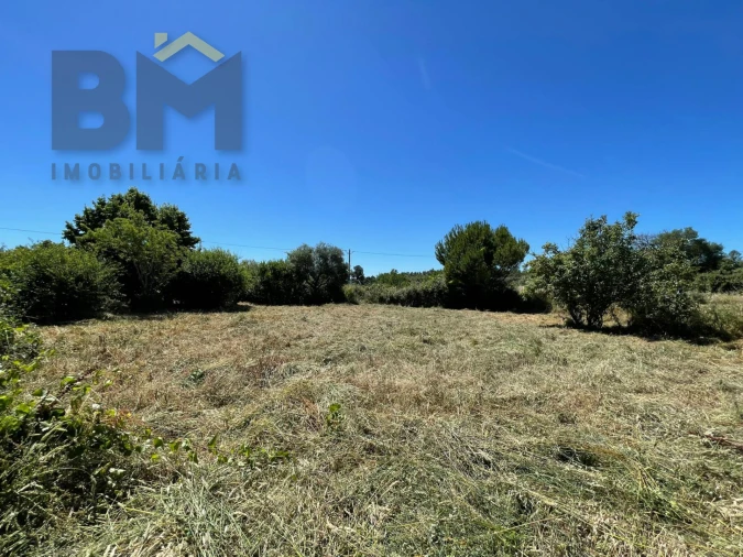 Terreno Agricola ou Rústico para Venda em Freixial e Juncal do Campo Foto 21
