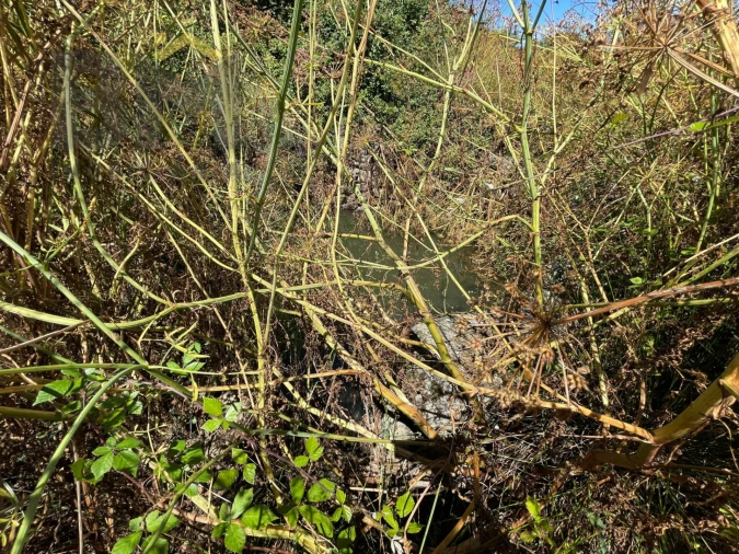 Terreno Agricola ou Rústico para Venda em Freixial e Juncal do Campo Foto 19