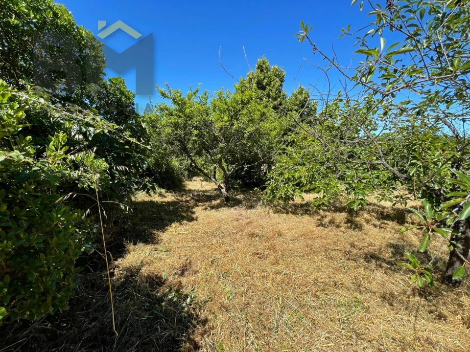Terreno Agricola ou Rústico para Venda em Freixial e Juncal do Campo Foto 32