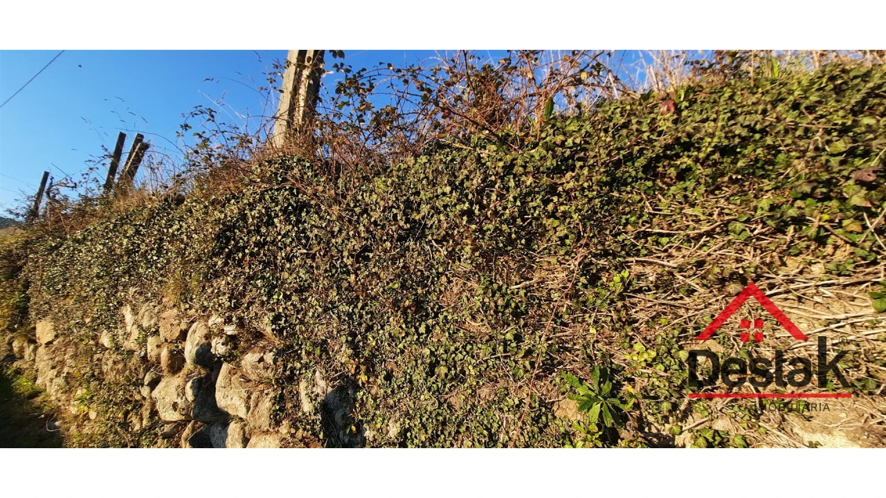 Terreno para Venda em São Felix Foto 17