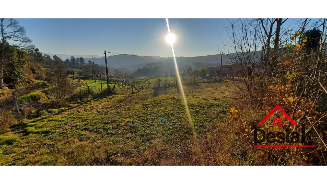 Terreno para Venda em São Felix Foto 8