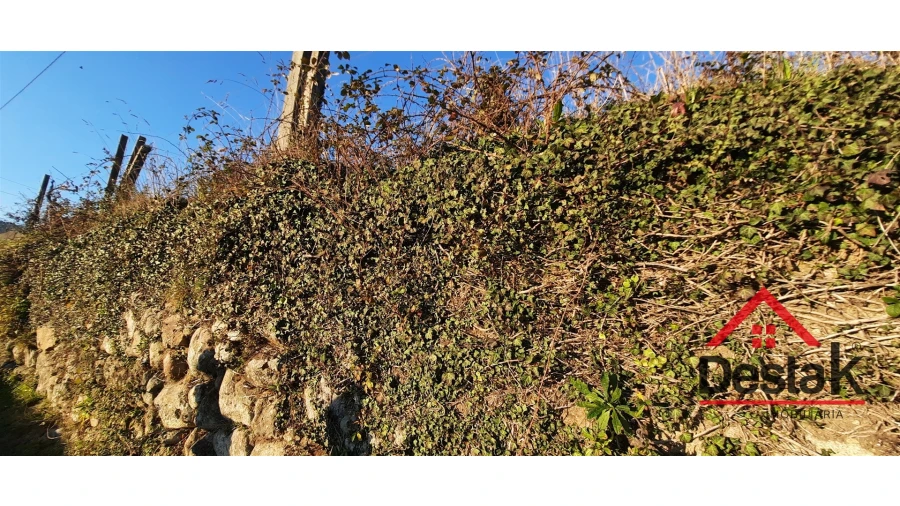 Terreno para Venda em São Felix Foto 17