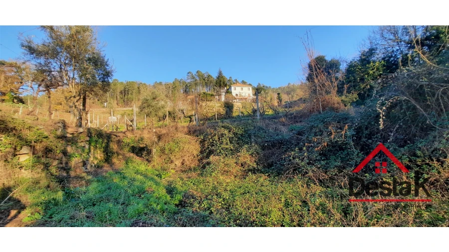 Terreno para Venda em São Felix Foto 5