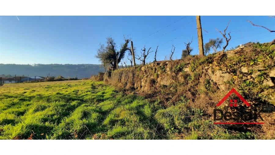 Terreno para Venda em São Felix Foto 15