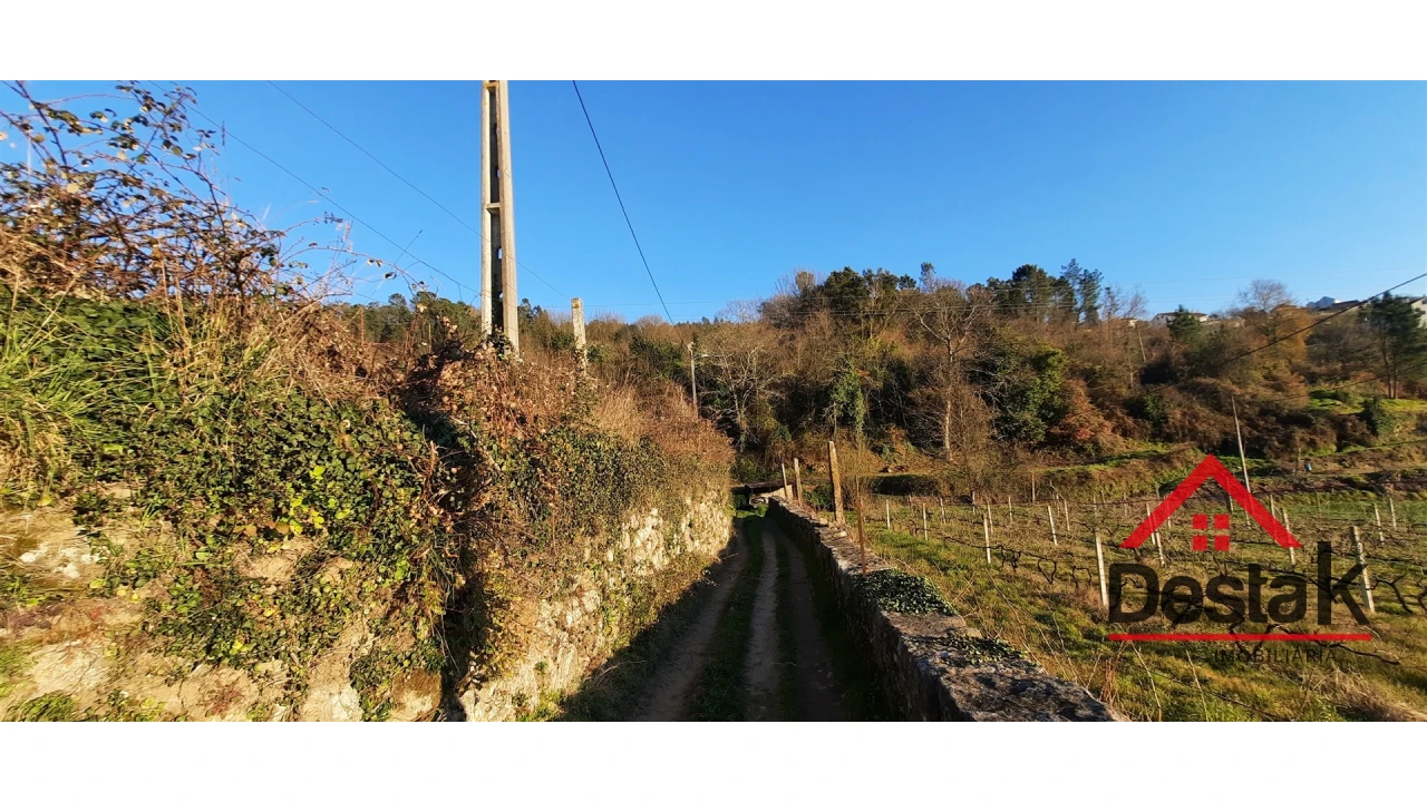 Terreno para Venda em São Felix Foto 19