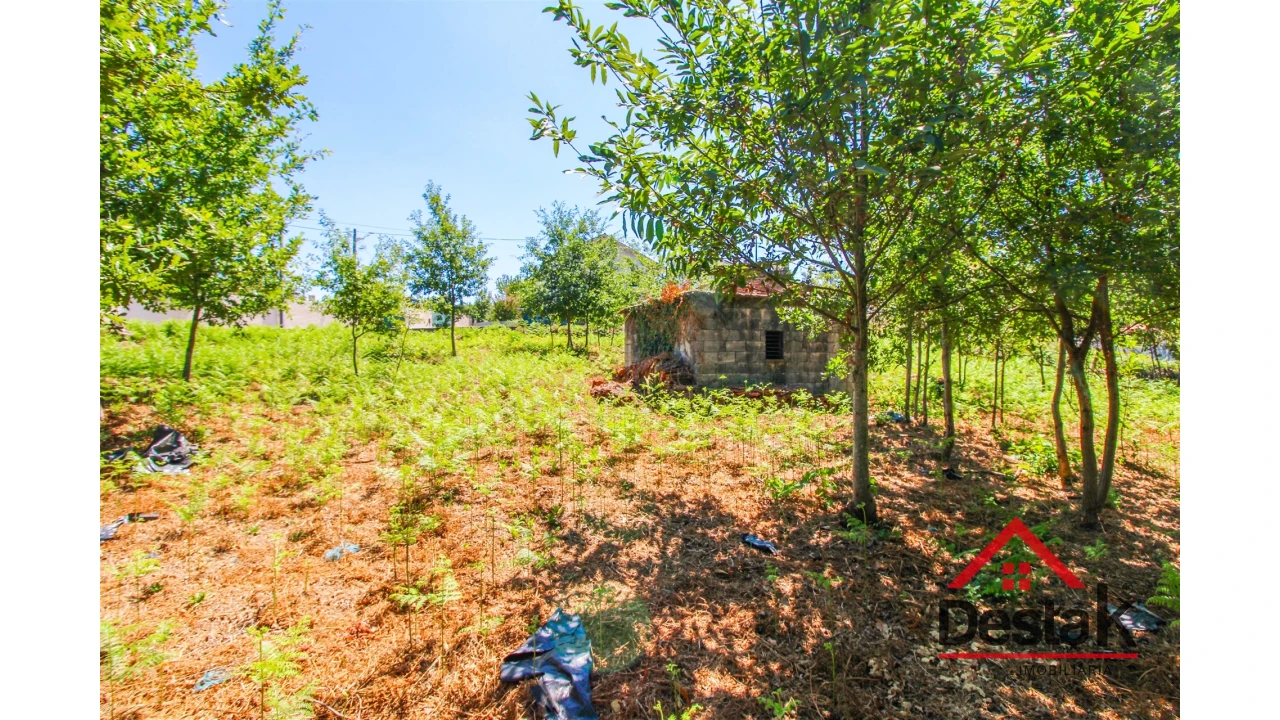 Terreno para Venda em Fataunços e Figueiredo das Donas Foto 4