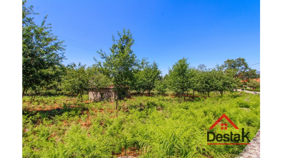 Terreno para Venda em Fataunços e Figueiredo das Donas Foto 8