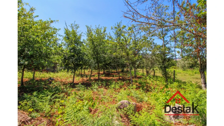 Terreno para Venda em Fataunços e Figueiredo das Donas Foto 12