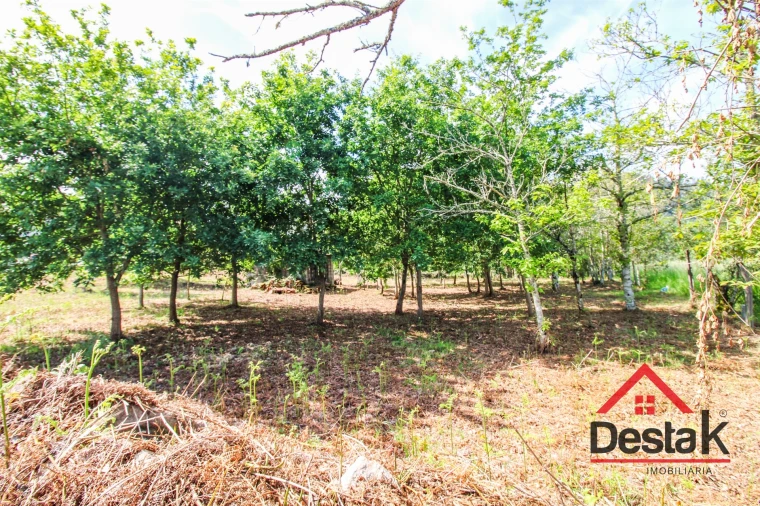 Terreno para Venda em Fataunços e Figueiredo das Donas Foto 9