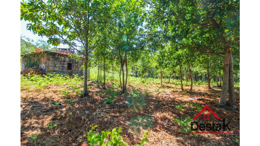 Terreno para Venda em Fataunços e Figueiredo das Donas Foto 11