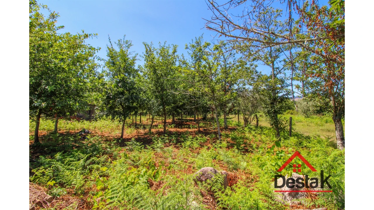 Terreno para Venda em Fataunços e Figueiredo das Donas Foto 12