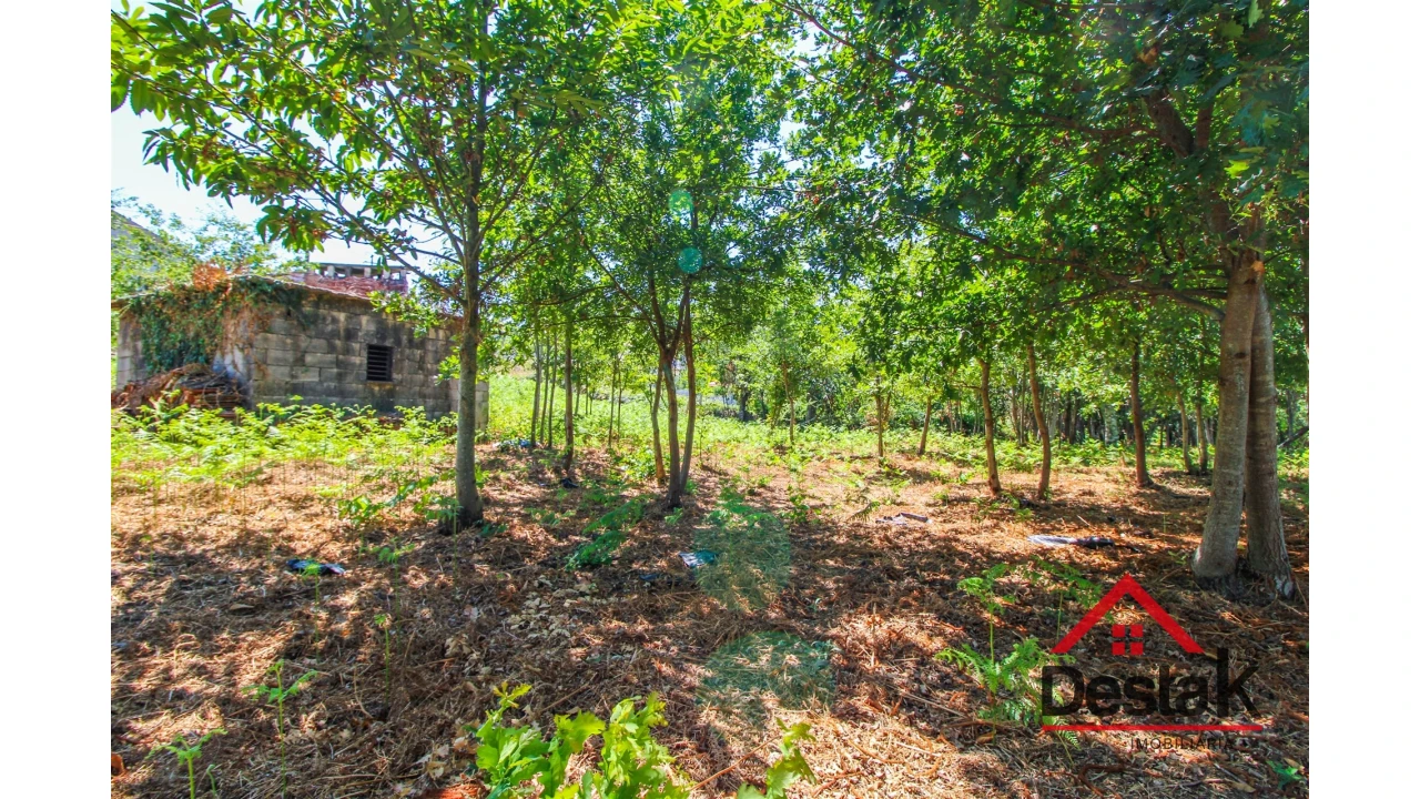 Terreno para Venda em Fataunços e Figueiredo das Donas Foto 11