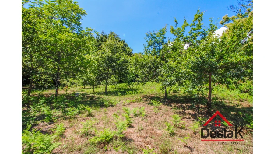Terreno Agricola ou Rústico para Venda em São Pedro do Sul, Várzea e Baiões Foto 3