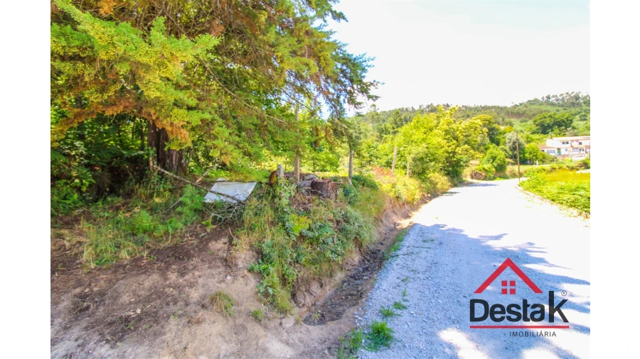 Terreno Agricola ou Rústico para Venda em São Pedro do Sul, Várzea e Baiões Foto 1