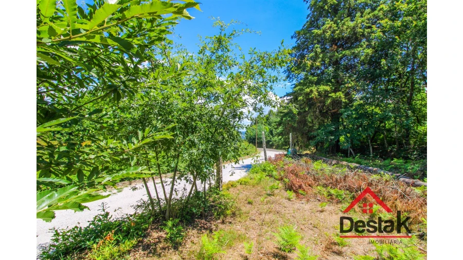 Terreno Agricola ou Rústico para Venda em São Pedro do Sul, Várzea e Baiões Foto 9