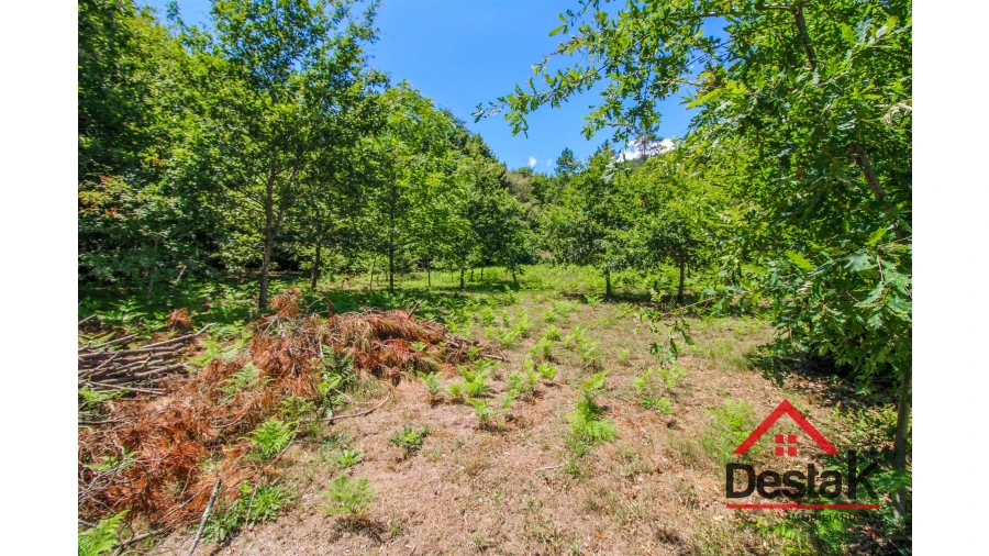 Terreno Agricola ou Rústico para Venda em São Pedro do Sul, Várzea e Baiões Foto 10