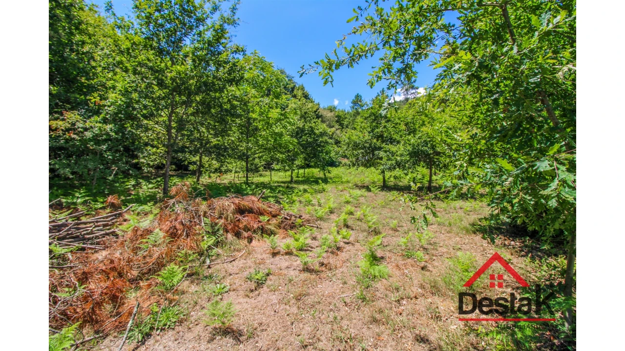 Terreno Agricola ou Rústico para Venda em São Pedro do Sul, Várzea e Baiões Foto 10