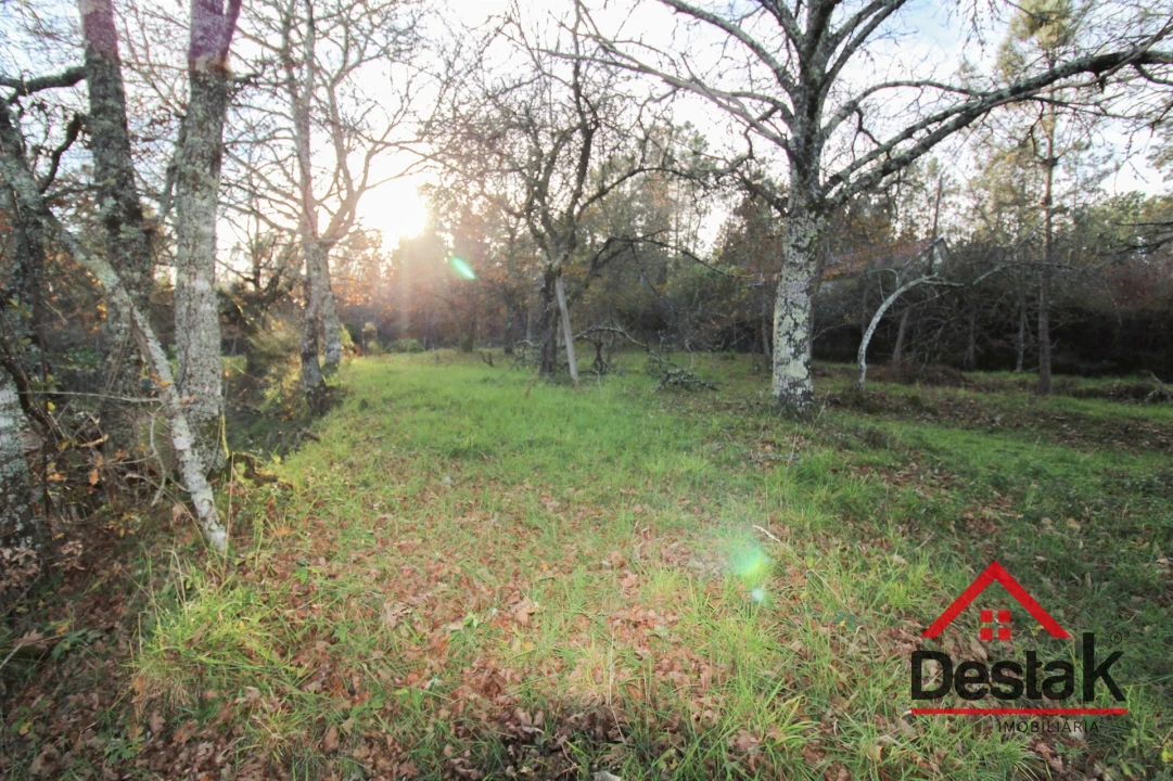 Terreno para Venda em Figueiredo de Alva Foto 12