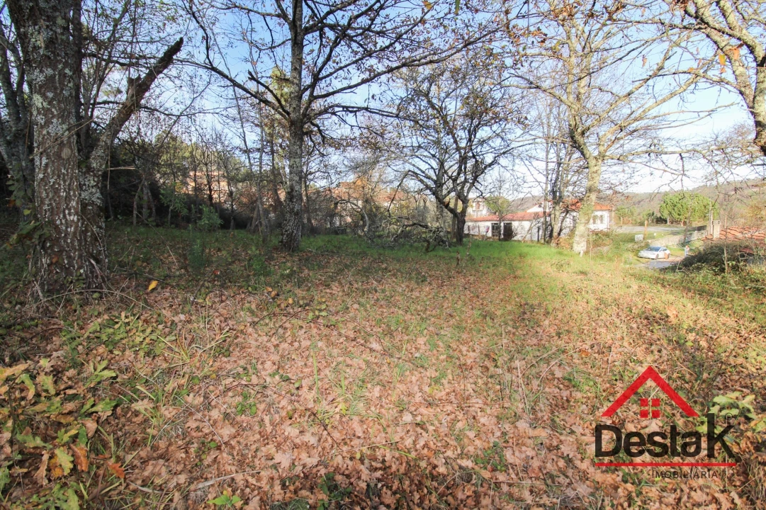 Terreno para Venda em Figueiredo de Alva Foto 4