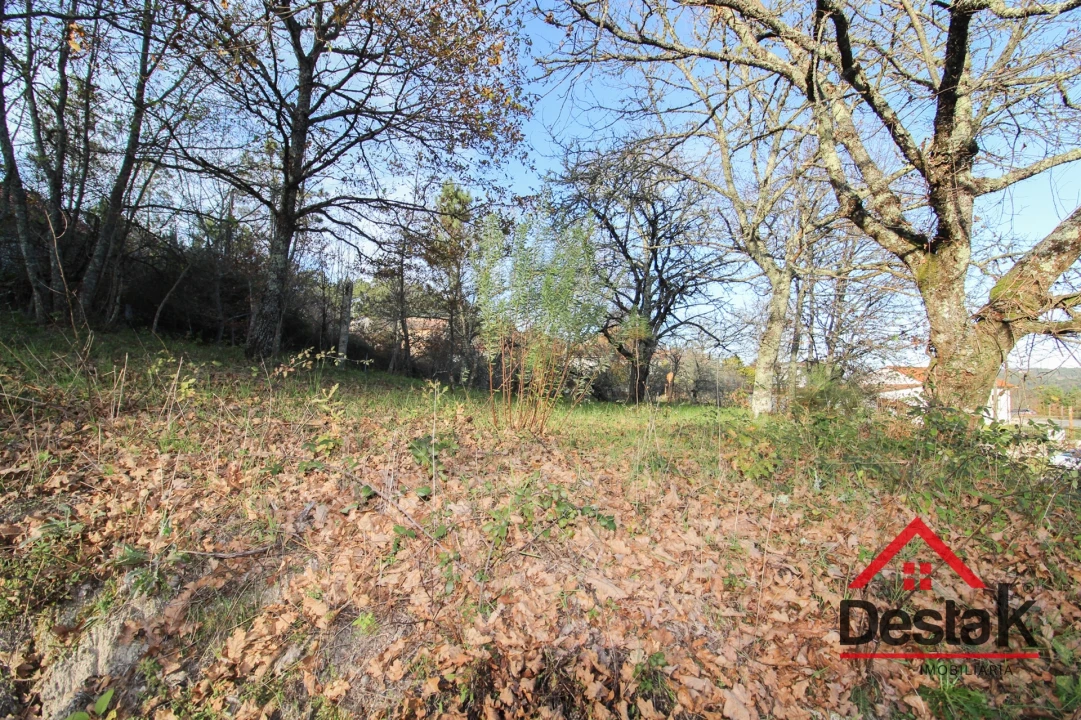 Terreno para Venda em Figueiredo de Alva Foto 5