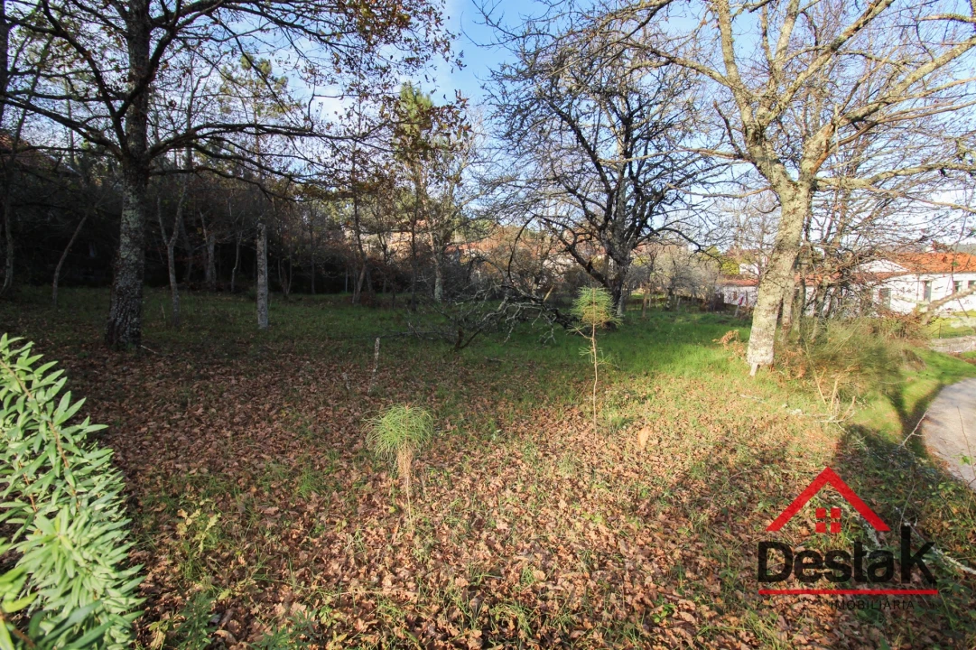 Terreno para Venda em Figueiredo de Alva Foto 7
